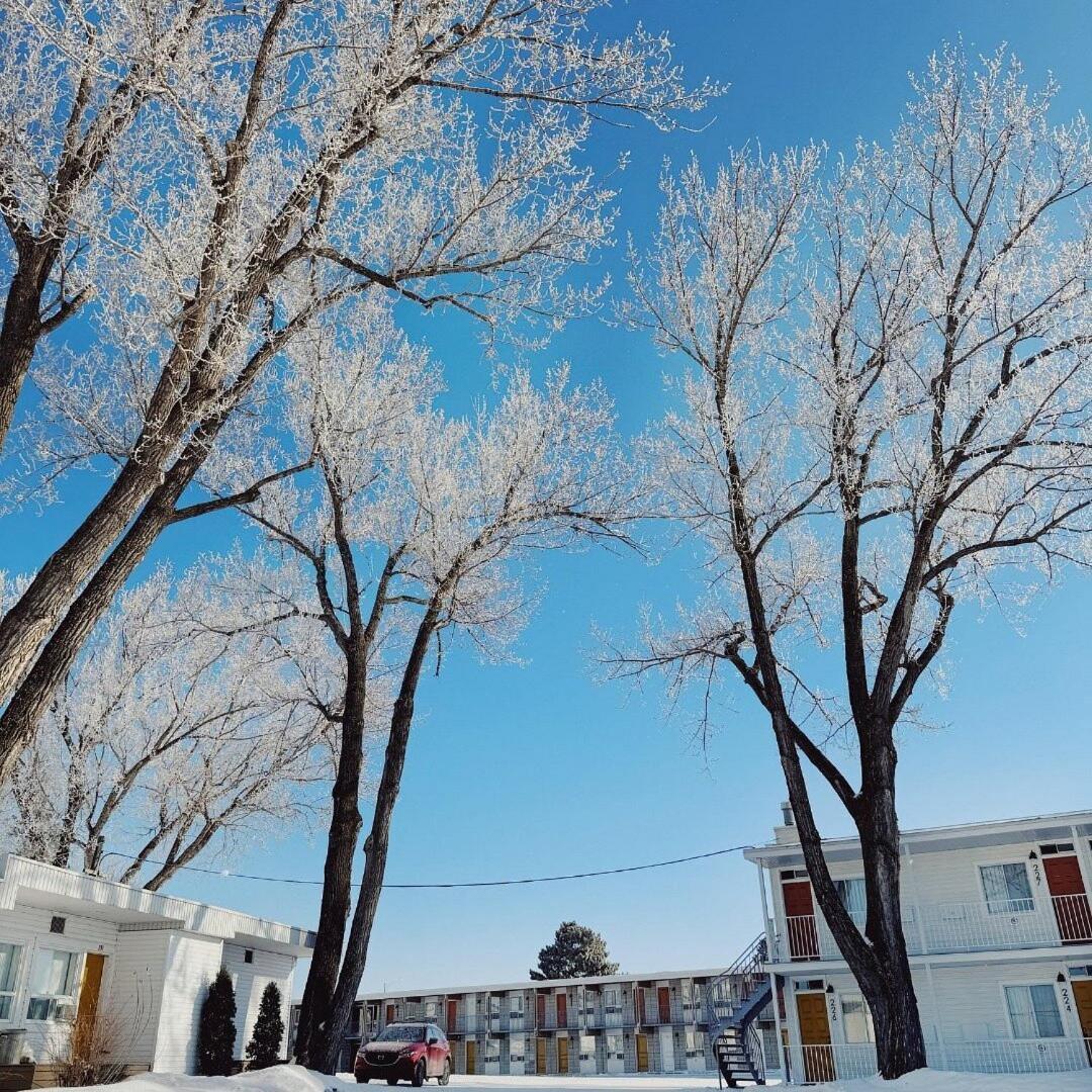 Auberge Le Parasol Chicoutimi Exteriér fotografie